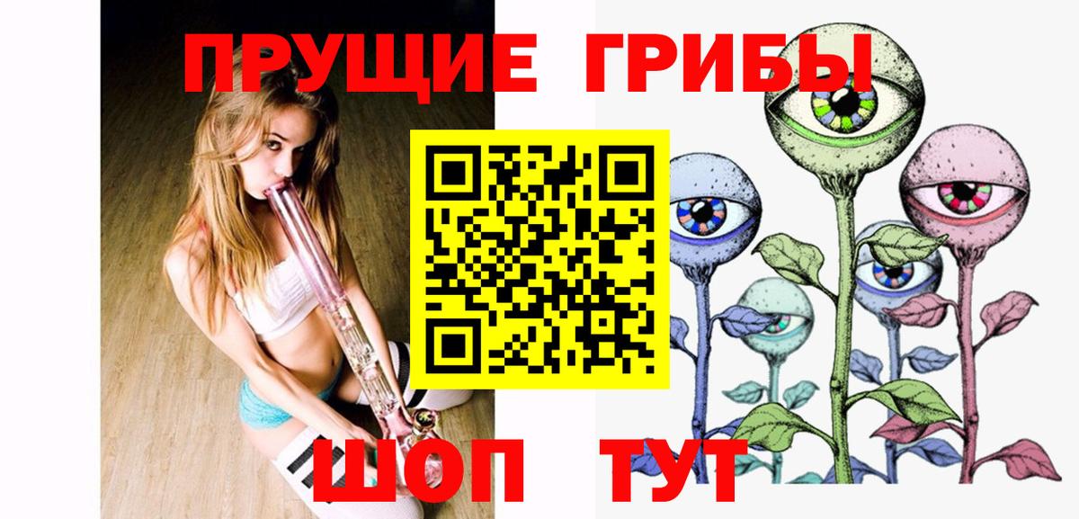 Псилоцибиновые грибы Psilocybine cubensis  Вход с VPN  Лосино-Петровский 